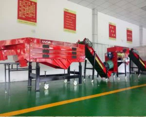 ကြက်သွန်ဖြူမျိုးစေ့များခွဲစက်