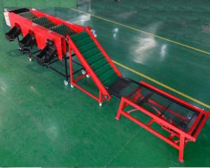 ကြီးမားသောသစ်သီးနှင့်ဟင်းသီးဟင်းရွက် sorting စက်